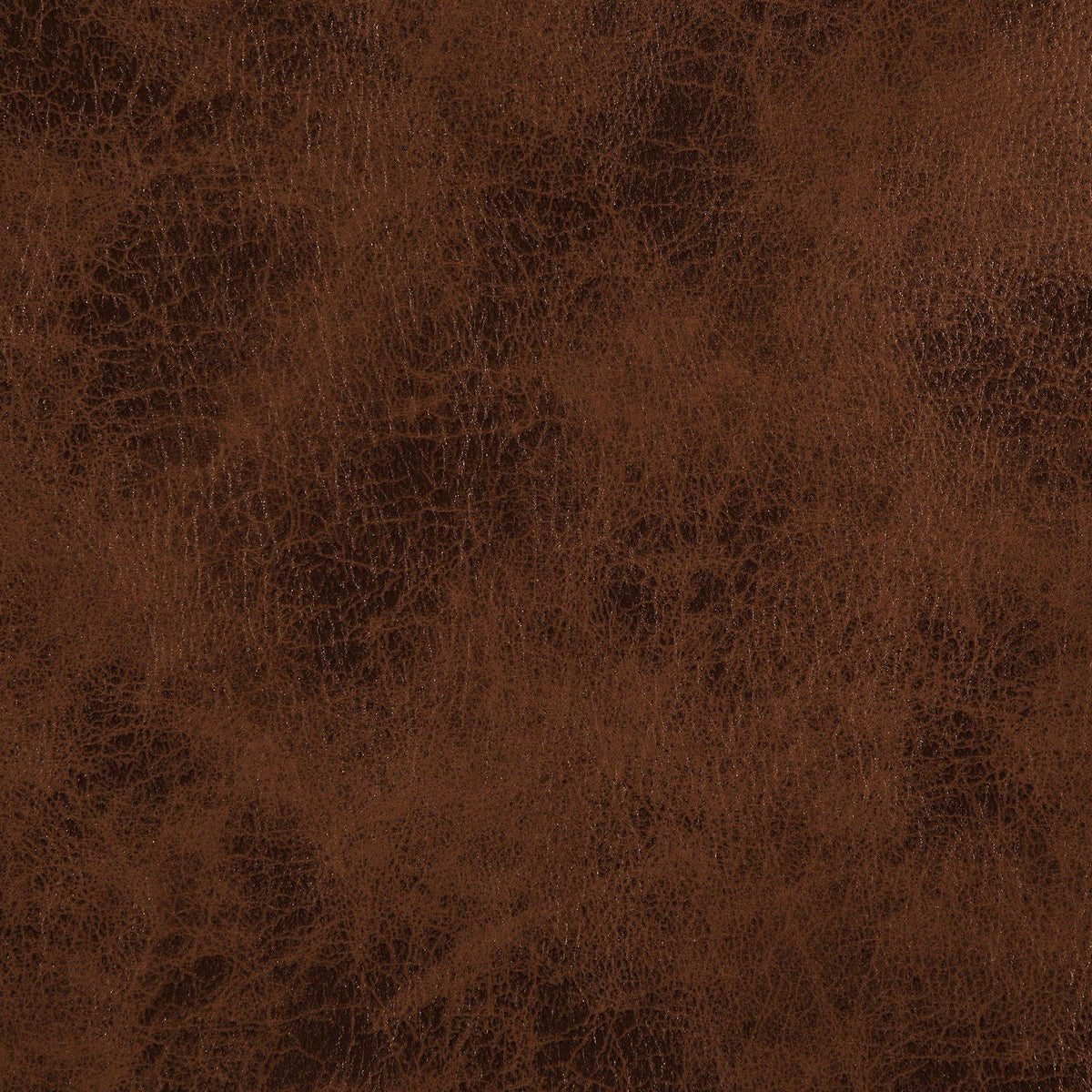 Why Does Brown Leather Turn Black? Causes & Prevention